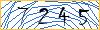 Type the numbers that you see in the picture
