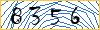 Type the numbers that you see in the picture