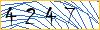 Type the numbers that you see in the picture