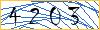 Type the numbers that you see in the picture