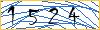 Type the numbers that you see in the picture