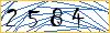 Type the numbers that you see in the picture