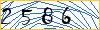 Type the numbers that you see in the picture