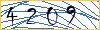 Type the numbers that you see in the picture