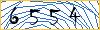 Type the numbers that you see in the picture