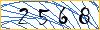 Type the numbers that you see in the picture