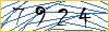 Type the numbers that you see in the picture