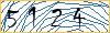 Type the numbers that you see in the picture