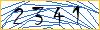 Type the numbers that you see in the picture