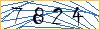 Type the numbers that you see in the picture