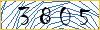 Type the numbers that you see in the picture