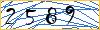 Type the numbers that you see in the picture