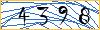 Type the numbers that you see in the picture