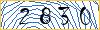 Type the numbers that you see in the picture