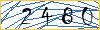Type the numbers that you see in the picture