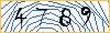 Type the numbers that you see in the picture