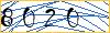 Type the numbers that you see in the picture