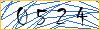 Type the numbers that you see in the picture