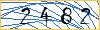 Type the numbers that you see in the picture