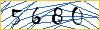 Type the numbers that you see in the picture