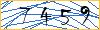 Type the numbers that you see in the picture