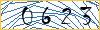 Type the numbers that you see in the picture