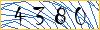 Type the numbers that you see in the picture