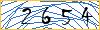 Type the numbers that you see in the picture