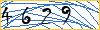 Type the numbers that you see in the picture