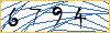 Type the numbers that you see in the picture