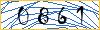 Type the numbers that you see in the picture