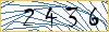 Type the numbers that you see in the picture