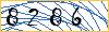 Type the numbers that you see in the picture
