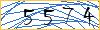 Type the numbers that you see in the picture