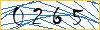 Type the numbers that you see in the picture