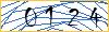 Type the numbers that you see in the picture