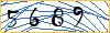Type the numbers that you see in the picture