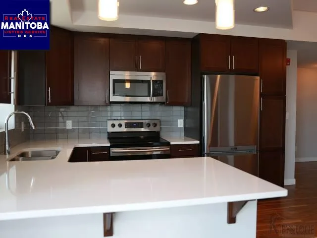 2 Bed Apartment for Sale at 401-70 Barnes Street, Winnipeg, MB - MLS® #1711073