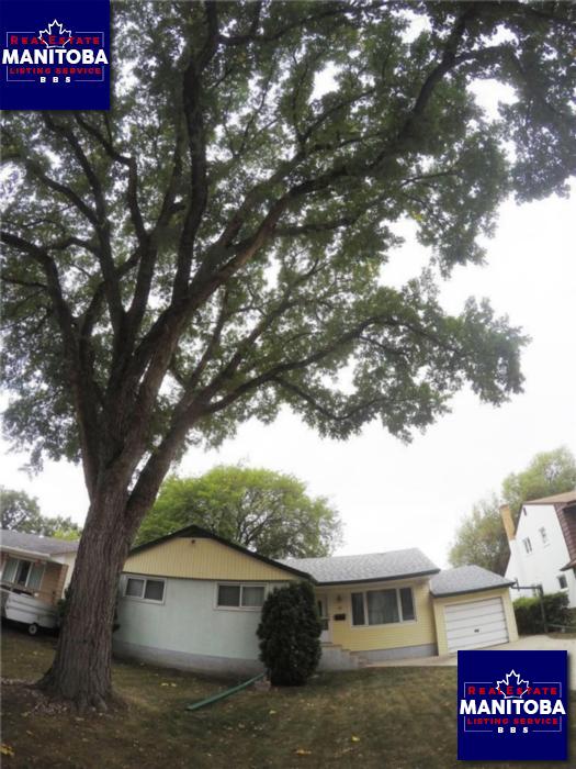 Property 11 Oriole St img1