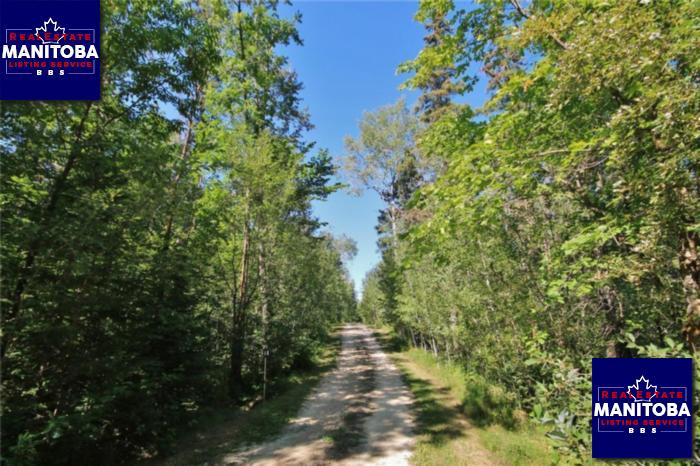 Property 69067 206 Hwy img1