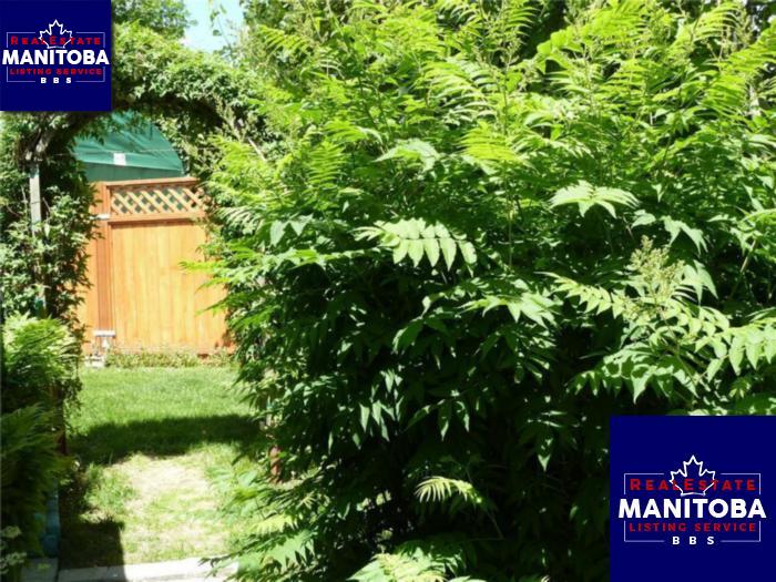 Property 85 Souris St img1