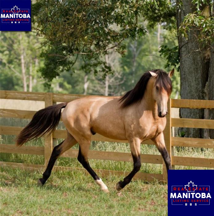 Property 41025 Richland Rd Main image