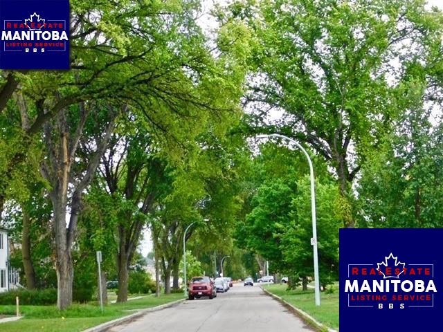 Property 257 Mcadam Ave img1