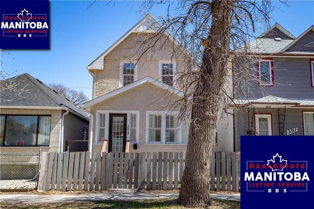 Property 393 Toronto Street img1